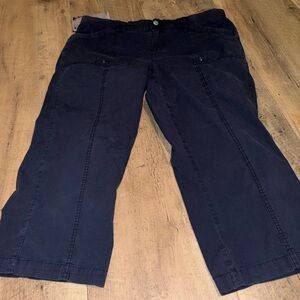 Reitmans Deep Blue Trousers